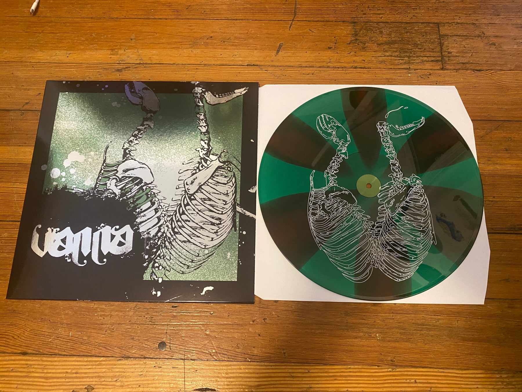 Vanna - The Search Party Never Came