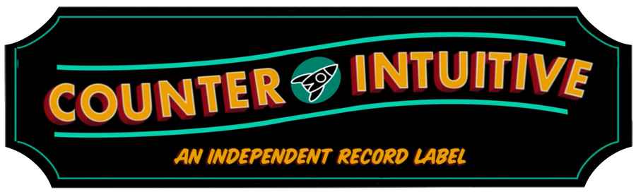 Come see the Counter Intuitive Store in Brookline, Massachusetts