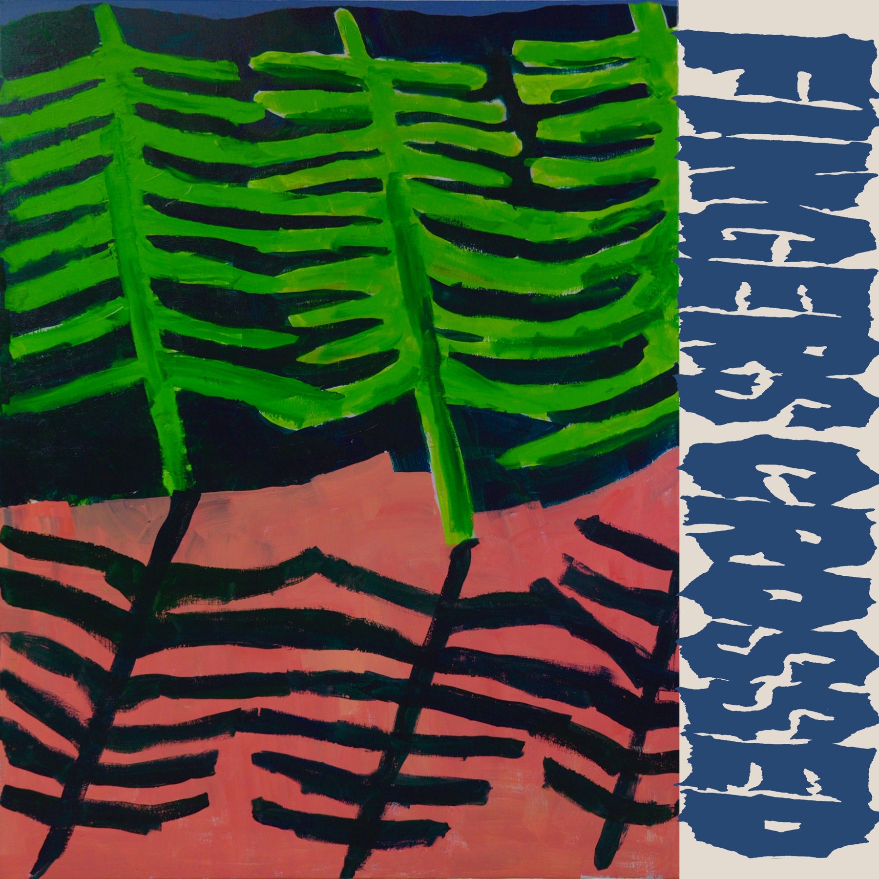 ANORAK! - FINGERS CROSSED