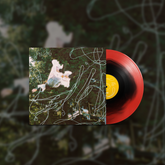 Tiger Really - Swan Sting