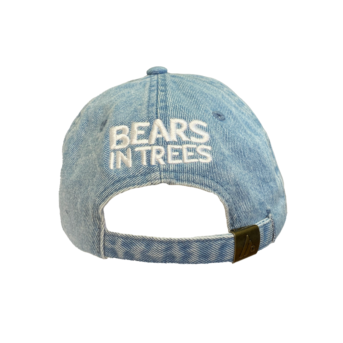 Bears In Trees - Trash Hat