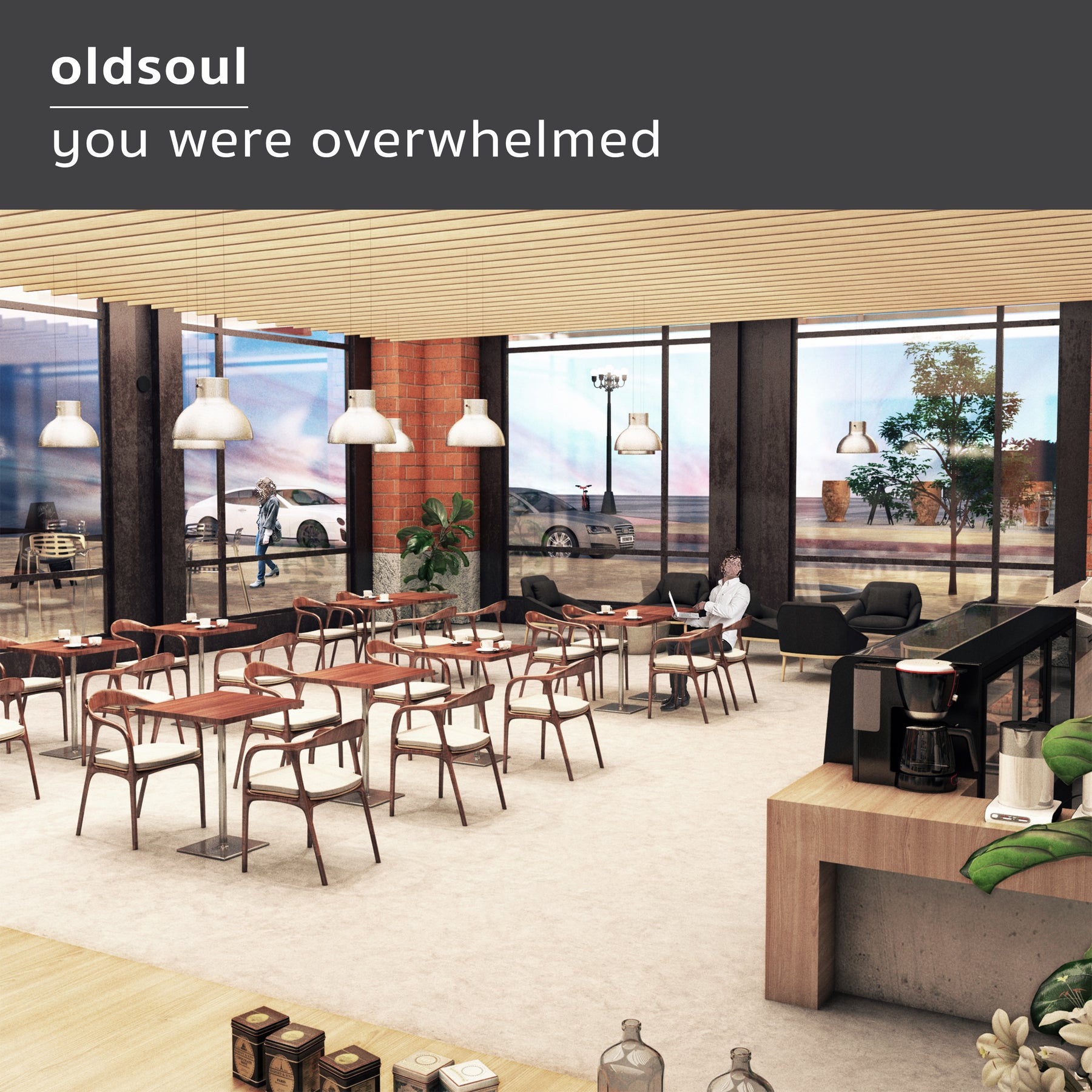 Oldsoul - You Were Overwhelmed